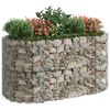 vidaXL Visoka greda gabion pocinkano železo 200x100x100 cm