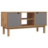 vidaXL TV omarica OTTA rjava in siva 113,5x43x57 cm trdna borovina