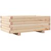 Natural_pine