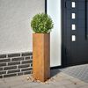 vidaXL Garden Planters 2 kosa Trikotni Vremensko odporno jeklo