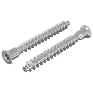 vidaXL Potrdilni vijaki 2 pcs srebrna &Oslash;7 x 58 mm Kovina