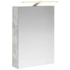 vidaXL Kopalni&scaron;ka ogledalna omara Betonsko siva 50 x 14,5 x 70 cm