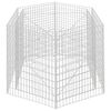 vidaXL &Scaron;estkotna visoka greda gabion 160x140x100 cm