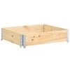 vidaXL Visoka greda 100x100 cm trdna borovina