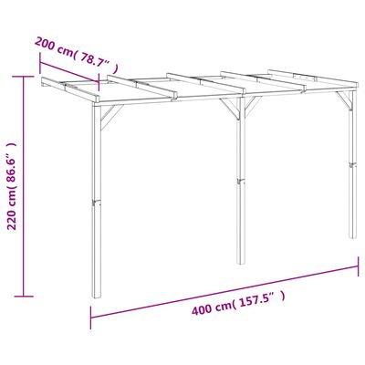vidaXL Prislonska pergola 2x4x2,2 m lesena