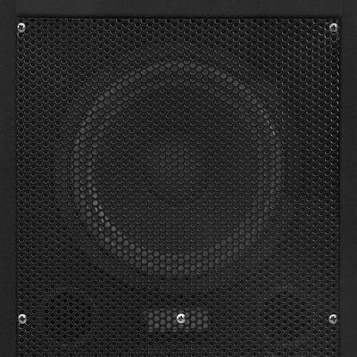 vidaXL Profesionalni pasivni odrski zvočnik 2 kosa 1000 W črne barve