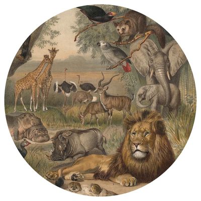 WallArt Okrogla tapeta Animals of Africa 142,5 cm