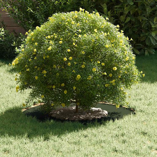 vidaXL primeren za ravne obroče dreves 5 pcs Olivno zelena &Oslash;30 / 60 cm