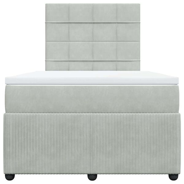vidaXL Box spring postelja z vzmetnico svetlo siva 120x190 cm žamet