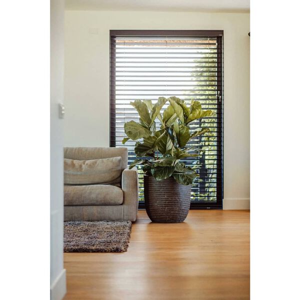 Capi Cvetlični lonec Nature Row 54x52 cm olivno zelen