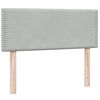 vidaXL Box spring postelja z vzmetnico svetlo siva 120x220 cm žamet