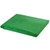 vidaXL Ozadje iz bombaža brez stojala zeleno 500 x 300 cm Chroma Key