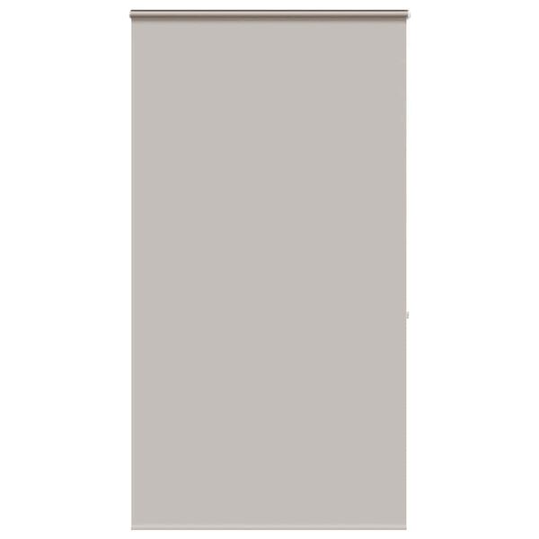 vidaXL Rolo zavesa za prho s kaseto 140x240 cm &scaron;irina tkanine 136 cm