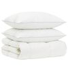 vidaXL 90% Gosji puh set odej FULDA 3 kos 220 x 240 cm Zima 300 GSM