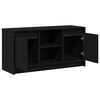 vidaXL TV enote Črna 100 x 34 x 50 cm Konstruiran les