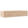 Natural_pine
