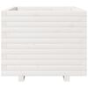 vidaXL Vrtno cvetlično korito belo 60x60x49,5 cm trdna borovina