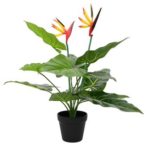 vidaXL Umetna rastlina Strelitzia Zelena 65 x 13 x 55 cm