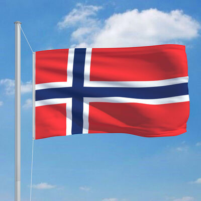 vidaXL Norveška zastava in aluminijast zastavni drog 6,2 m