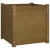 vidaXL Vrtno cvetlično korito medeno rjavo 50x50x50 cm trdna borovina