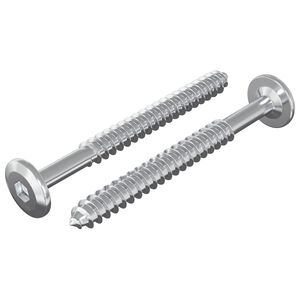 vidaXL Leseni vijaki 2 kos Srebrna M6 x 70 mm Jeklo
