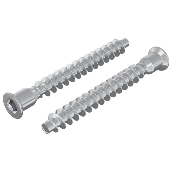 vidaXL Potrdilni vijaki 2 pcs srebrna &Oslash;7 x 58 mm Kovina