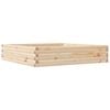 Natural_pine