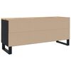 vidaXL TV omarica 105x33x46 cm trden mangov les