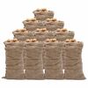 vidaXL Vreče iz jute 10 kosov 65x135 cm 100 % juta 220 gsm