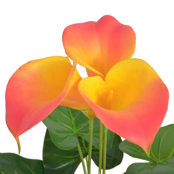 Prikazana fotografija izdelka 2 od 2