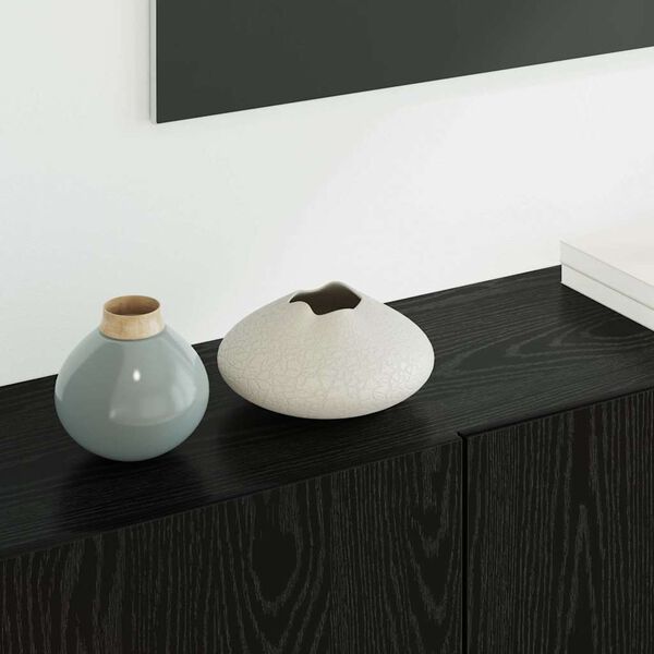 vidaXL TV zidna enota 5 pcs Črna Orehovina Konstruiran les