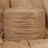 vidaXL Vrv iz jute 250 m dolžina 6 mm debelina