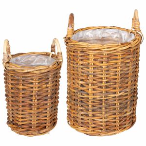vidaXL Ko&scaron;ara za rastline s shranjevanjem 2 pcs Rjava Kubu rattan