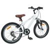 vidaXL Kids Mountain Bike 20 Palcev 6-Speed za 5-8 let Bela