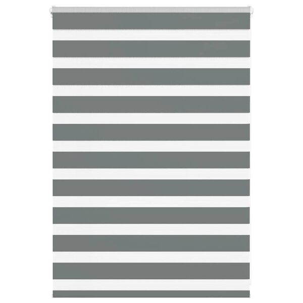 vidaXL Zebra senčilo temno sivo 100x100 cm tkanina &scaron;irina 95,9 cm