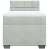 vidaXL Box spring postelja z vzmetnico svetlo siva 100x200 cm žamet