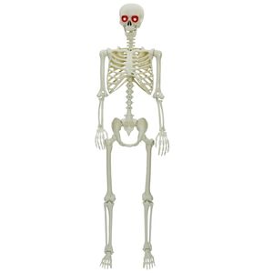 vidaXL Halloween skelet Bela 155 x 38,5 cm Polipropilen