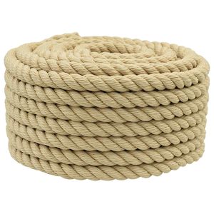 vidaXL Rop za čoln 2 mm 25 m Naravna