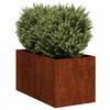 vidaXL Planter Rusty 40x80x40 cm Vremensko odporno jeklo