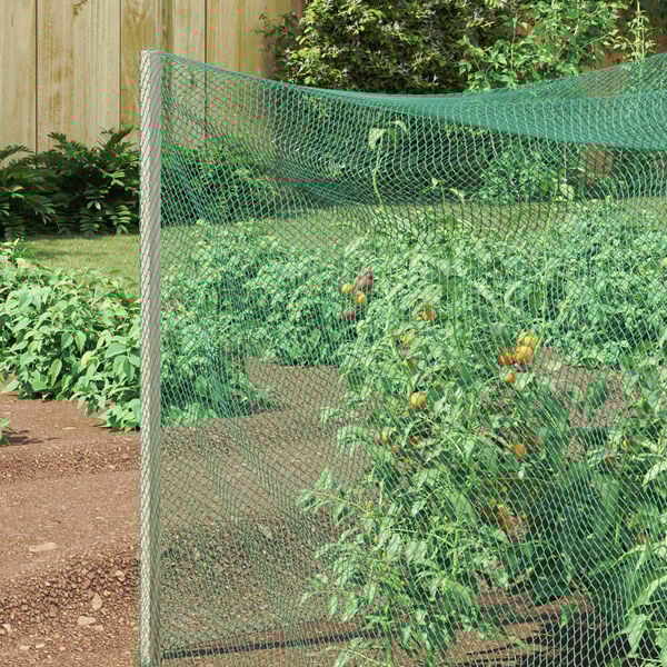 vidaXL Mreža za za&scaron;čito ptic Zelena 2 x 10 m Polietilen