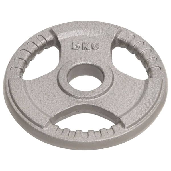 vidaXL Olimpijske uteži 2 kosa 10 kg lito železo