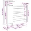vidaXL Omara za čevlje Star les 100,5 x 28 x 100 cm Konstruiran les