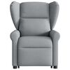 vidaXL Električni naslanjač s funkcijo vstajanja svetlo siv