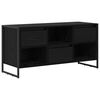 vidaXL TV omarica 100 x 36 x 49,5 cm Črna Orehovina Inženirski les