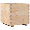 Natural_pine