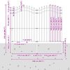 vidaXL Vrtna ograja Siva 240 x 115 cm Jeklo s pra&scaron;nim premazom