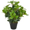 vidaXL Umetna rastlina lovorovo drevo z loncem zelena 40 cm