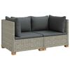 vidaXL 2 kos Ratan lounge set s blazinami GENDT Naravni rattan