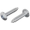 vidaXL Žebelj s samočrtnim navojem 2 kos Cinkano 4 x 20 mm Jeklo