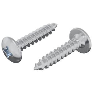 vidaXL Žebelj s samočrtnim navojem 2 kos Cinkano 4 x 20 mm Jeklo